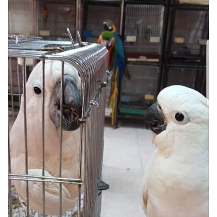 09w3depjquo31-430×430 09w3depjquo31-430×430