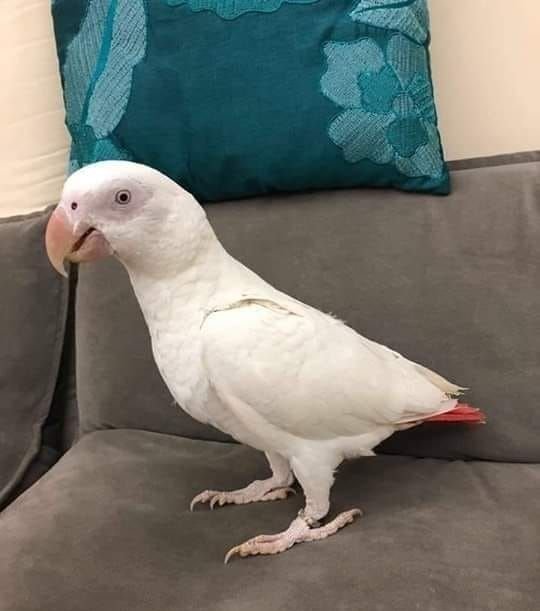 8466249eeadb74e2c5902ba7c0a41f34 8466249eeadb74e2c5902ba7c0a41f34