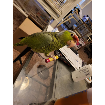 zndss9qn4il81-430×430 zndss9qn4il81-430×430