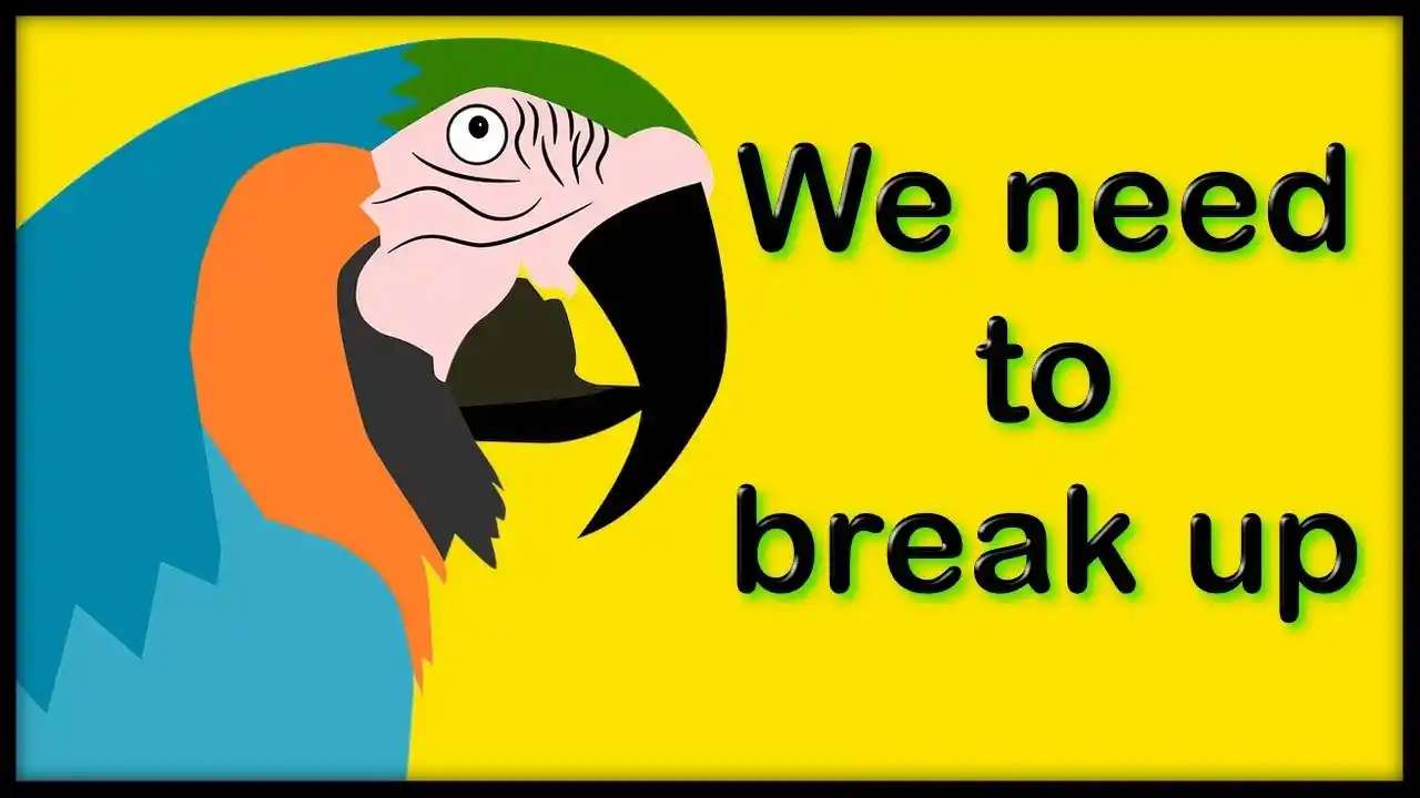 how to get parrot off shoulder minecraft