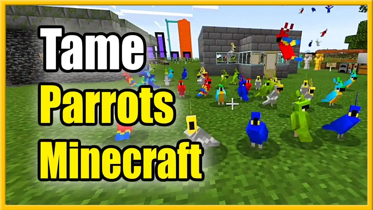 how to get parrot off shoulder minecraft